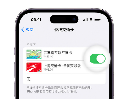 孟州apple维修点分享iPhone上更换Apple Pay快捷交通卡手绘卡面 