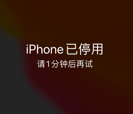 孟州苹果手机维修分享:iPhone 显示“不可用”或“已停用”怎么办？还能保留数据吗？ 