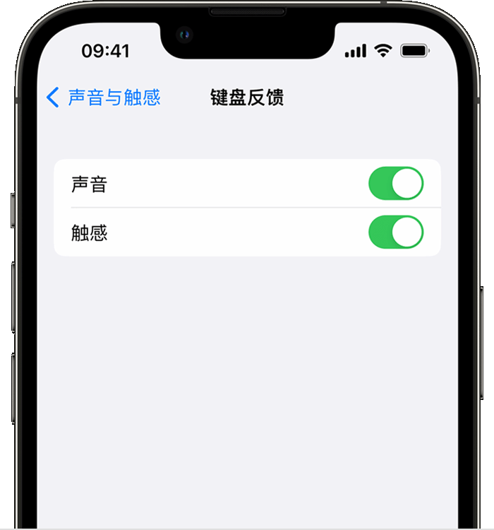 孟州苹果14维修店分享如何在 iPhone 14 机型中使用触感键盘 