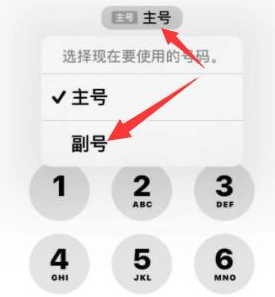 孟州苹果14维修店分享iPhone 14 Pro Max使用副卡打电话的方法 