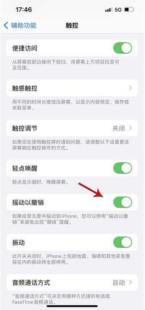 孟州苹果手机维修分享iPhone手机如何设置摇一摇删除文字 